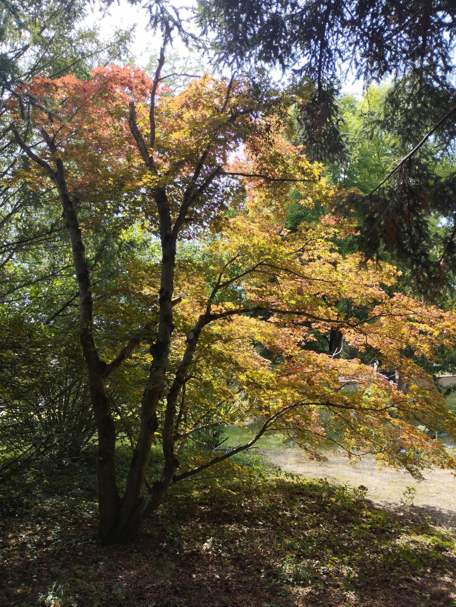 Ma Tranquillite 호텔 Courpiere 외부 사진